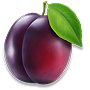 Plum